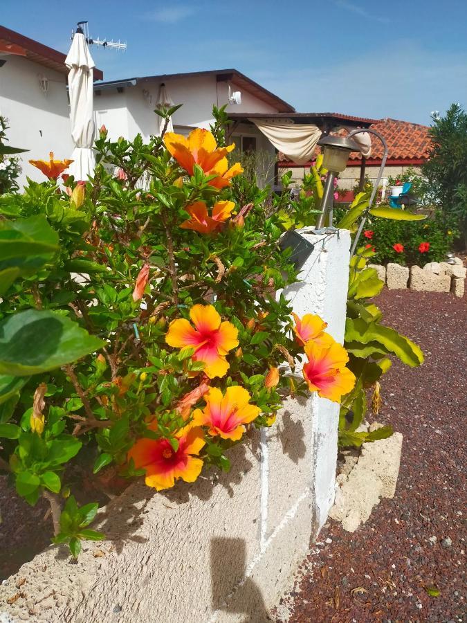 Villa Daita 1 กรานาดิลญา เด อาโบนา ภายนอก รูปภาพ