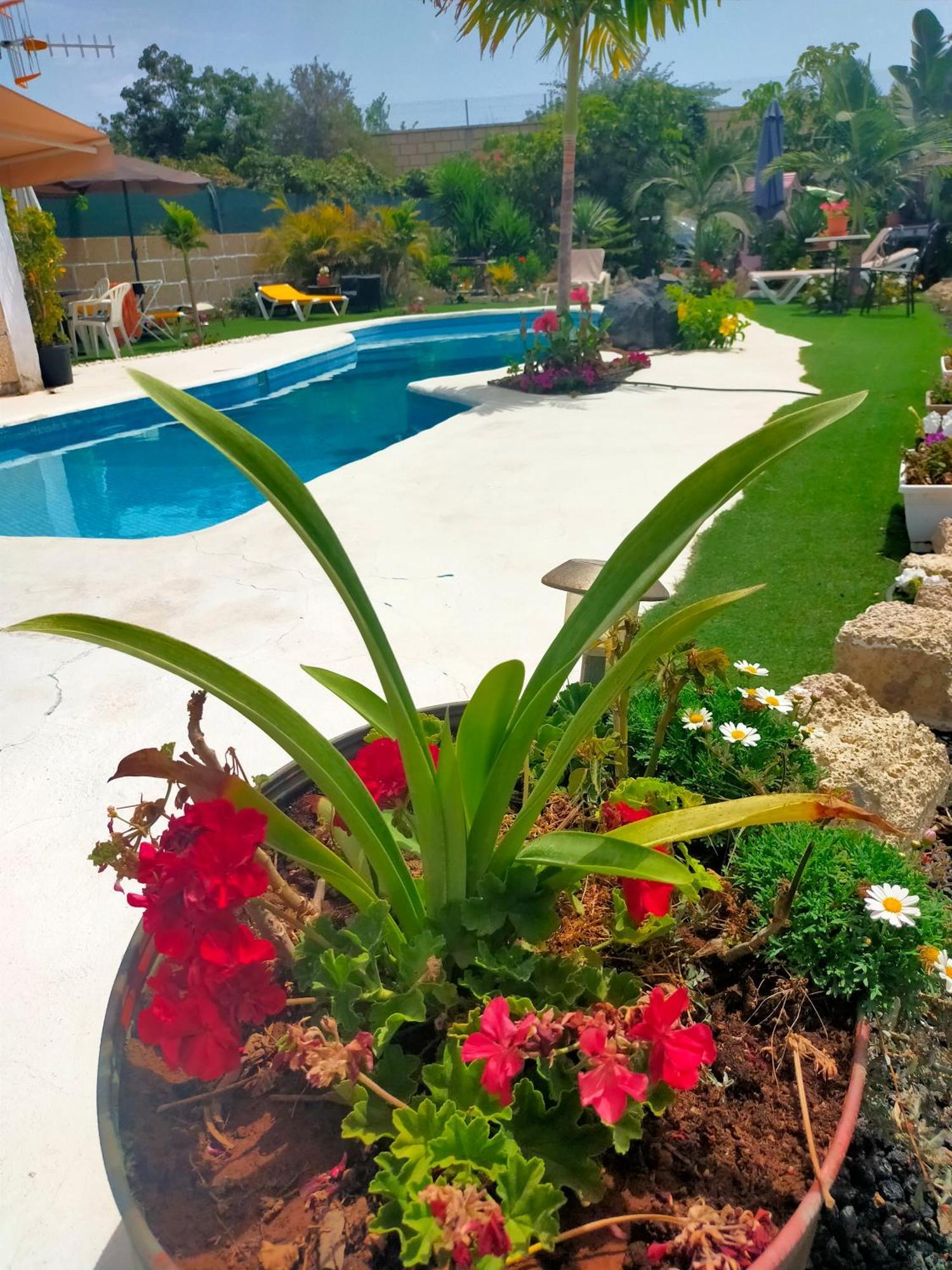 Villa Daita 1 กรานาดิลญา เด อาโบนา ห้อง รูปภาพ